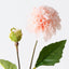 Pompon Dahlia Spray (Set of 12)