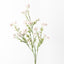 Berry Flowering Spray