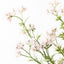 Berry Flowering Spray