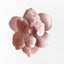 Clip Magnolia Velvet