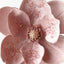 Clip Magnolia Velvet