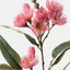 Eucalyptus Flowering Spray (Set of 12)