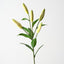 Casablanca Lily Buds (Set of 12)