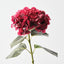 Hydrangea (Set of 12)