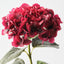 Hydrangea (Set of 12)
