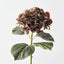 Hydrangea (Set of 12)