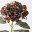 Hydrangea (Set of 12)