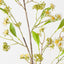Chamomile Spray (Set of 12)