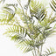 Parlour Palm Spray (Set of 12)