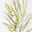 Meadow Grass Spray (Set of 12)