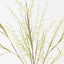 Meadow Grass Spray (Set of 12)