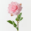 Lucy Rose (Set of 12)
