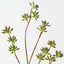 Eucalyptus Seed Spray (Set of 12 )
