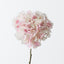 Hydrangea w/o Leaf
