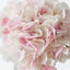 Hydrangea w/o Leaf