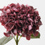 Hydrangea
