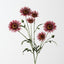 Daisy Spray (Set of 12)