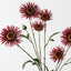 Daisy Spray (Set of 12)