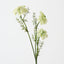 Queen Annes Lace Spray (Set of 12)