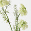 Queen Annes Lace Spray (Set of 12)