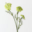 Queen Annes Lace Spray (Set of 12)