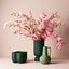 Cherry Blossom