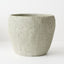 Wren Pot