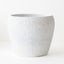 Wren Pot