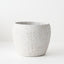 Wren Pot