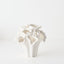 Avenia Vase