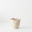 Elysian Pot