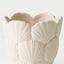 Elysian Pot