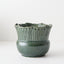 Mesa Pot