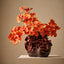 Alora Vase