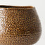 Aurora Pot