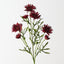 Gerbera Spray (Set of 12)