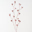 Mallow Seed Spray (Set of 12)
