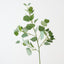 Eucalyptus Spray (Set of 12)