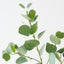 Eucalyptus Spray (Set of 12)