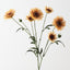 Daisy Spray (Set of 12)