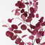 Eucalyptus Spray (Set of 12)