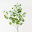 Eucalyptus Spray (Set of 12)