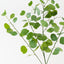 Eucalyptus Spray (Set of 12)