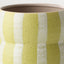 Arlo Pot