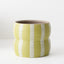 Arlo Pot