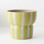 Arlo Pot