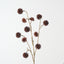 Happy Tree Pod Spray (Set of 6)