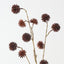 Happy Tree Pod Spray (Set of 6)