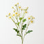 Daisy Spray (Set of 12)