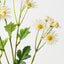 Daisy Spray (Set of 12)